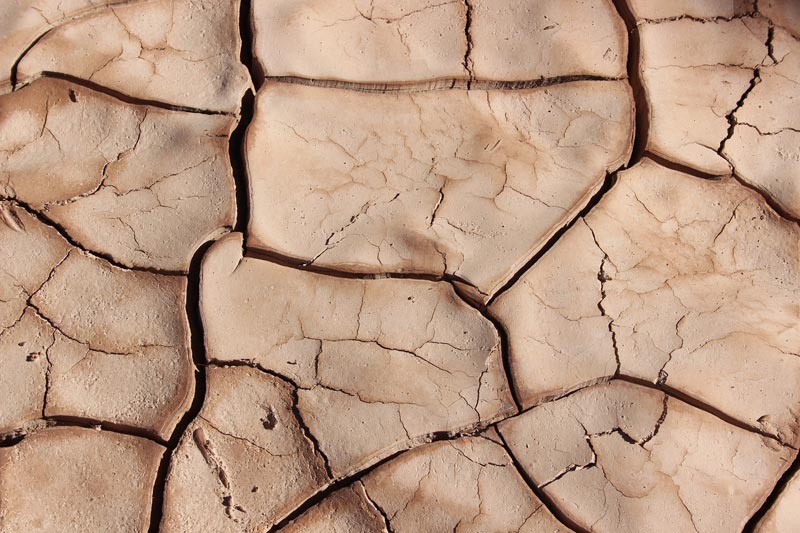 Drought